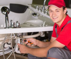 About Emergency plumbing pros Deford, MI